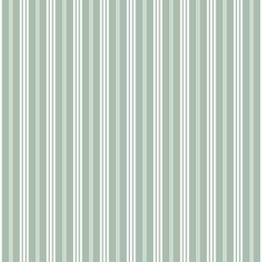 Elegant Triple Stripes on Sage Green Background, Small Scale