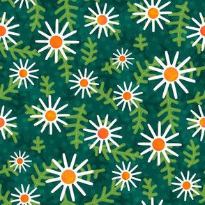 Field of Spring Daisies - White Daisies in a Warm Teal Garden