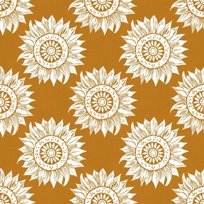 white sunflowers on desert sun | medium