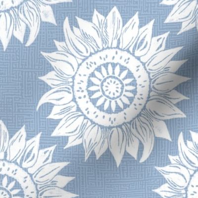 white sunflowers on sky blue | medium