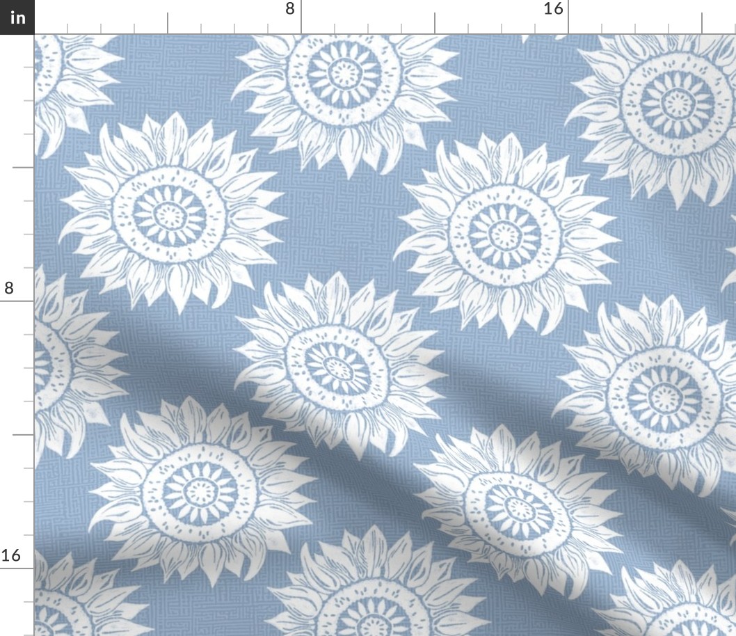 white sunflowers on sky blue | medium