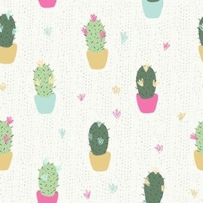 Cute Green Cactus with Little Pink Flowers