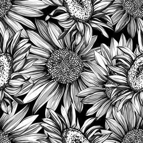 Sunflowers black and white