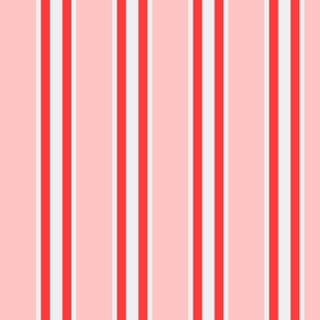 Pink and Red Bold Stripe / Thick and Thin Stripes / Pink and Red