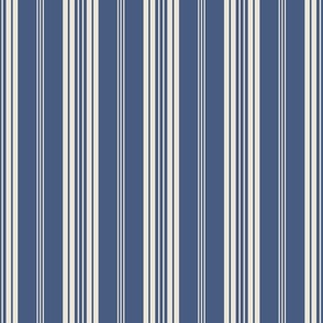 French stripes vertical muted blue ticking