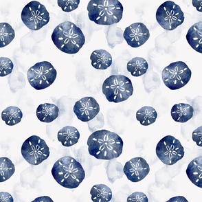 Sand Dollar Pattern Medium Size  | Blue and White Sand Dollars 