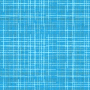 Crosshatch-WhiteOnBlue