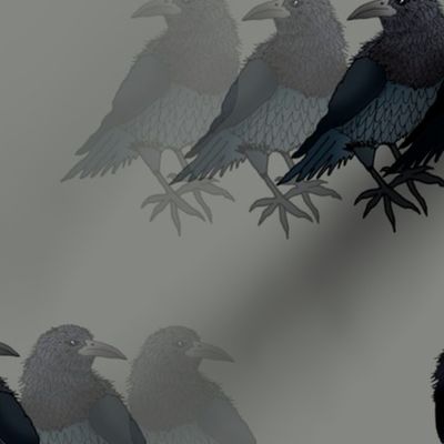 The Ravens Spirit (Stormy Grey) 