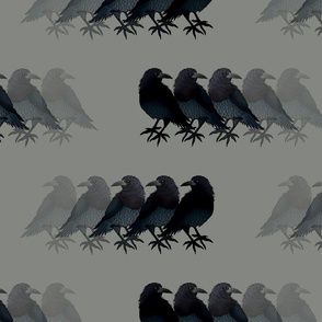 The Ravens Spirit (Stormy Grey) 