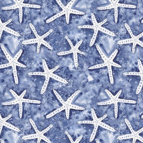 Medium // Starfish on Watercolor Blue Background // Ocean Life
