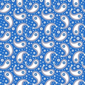 Blue White Independence Paisley Pattern Print