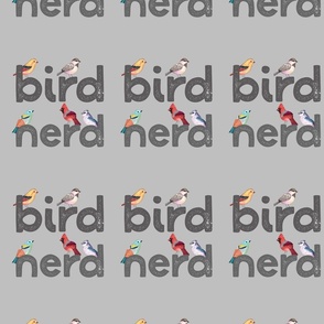 bird nerd pattern