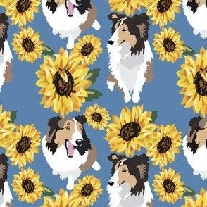 Sheltie Dog Dakota Yellow Sunflowers and blue denim background puppy