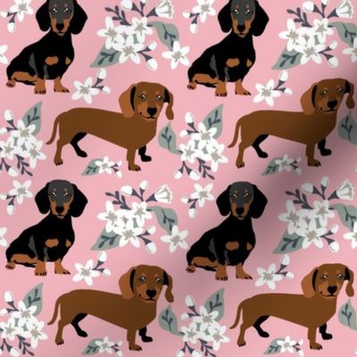 Small scale // Dachshund dogs white flowers Pink background black and brown dachshunds