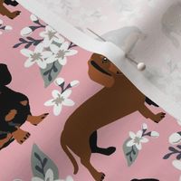 Small scale // Dachshund dogs white flowers Pink background black and brown dachshunds