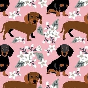 Small scale // Dachshund dogs white flowers Pink background black and brown dachshunds