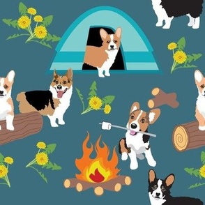 small scale // Corgi dogs go camping with a campfire tent toasting marshmallows