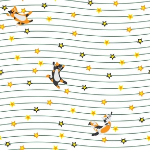 basic stripe and stars cat coordinate