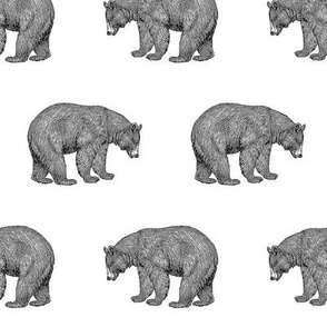 black, gray white bear facing right and left