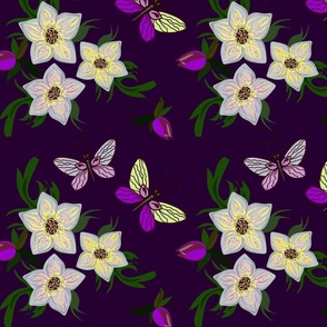 300dpi_violet_butterfly