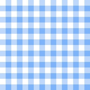 seaside blue gingham check 1 inch