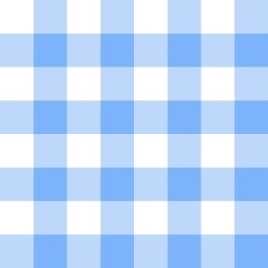 seaside blue gingham check 2 inch