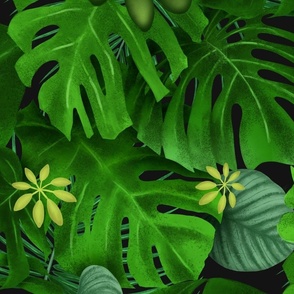 Tropics - leaves of a palm tree, monster, ficus. Tropics set