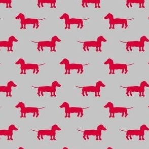 Red Dachshund Dogs on Gray, 35