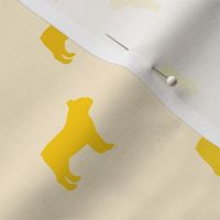 French Bulldog - Shades of Yellow