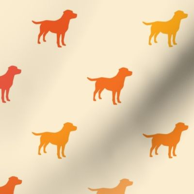 Labrador Retriever - Shades of Orange