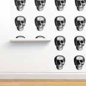 skull 13"