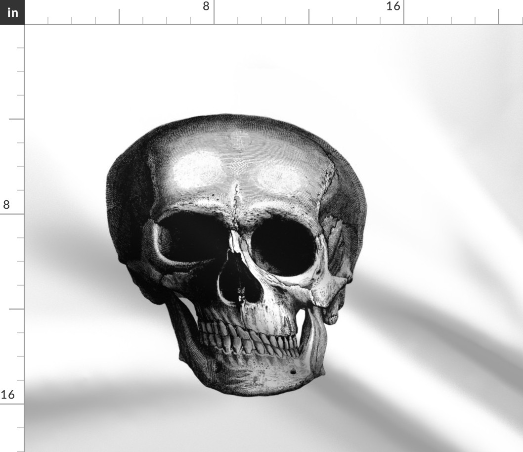 skull 13"