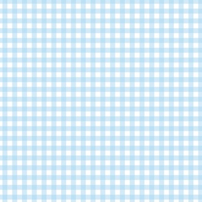 blue plaid gingham