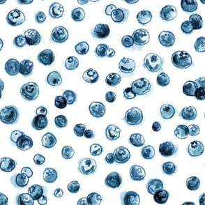 Watercolor Blueberries in White - (XL)