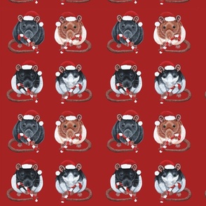 Festive Rats