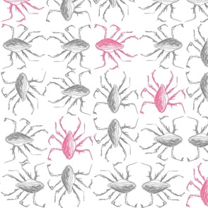 [Medium] Bugs Mix Gray Pink