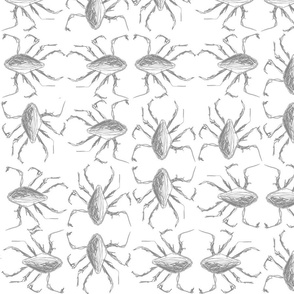 [Medium] Bugs Mix Gray