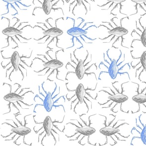 [Medium] Bugs Mix Gray Blue