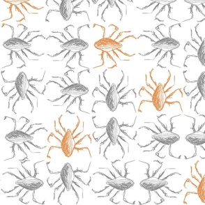 [Medium] Bugs Mix Gray Orange