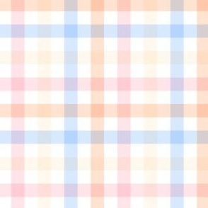  FALL PINK BLUE PEACH CREAM Gingham Plaid Checked Checkerboard Grand Millennial Preppy PF131F