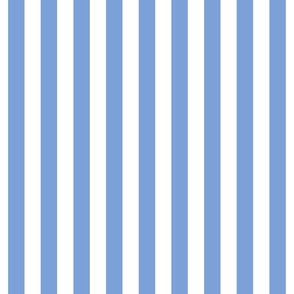 1” stripe/blue and pure white