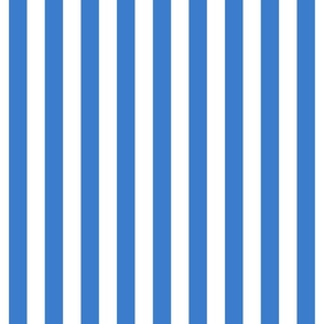 1”  stripe/cobalt blue and pure white