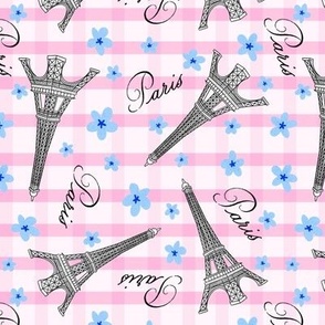 Paris Pattern Pink Plaid