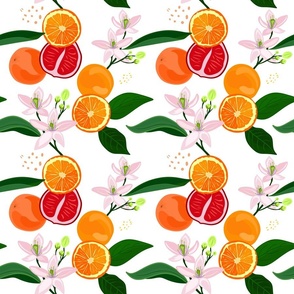 300dpi_grapefruit_orange