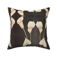 White Callas on Black 862E3C9B-2921-496E-845E-EB7E3FA01D04