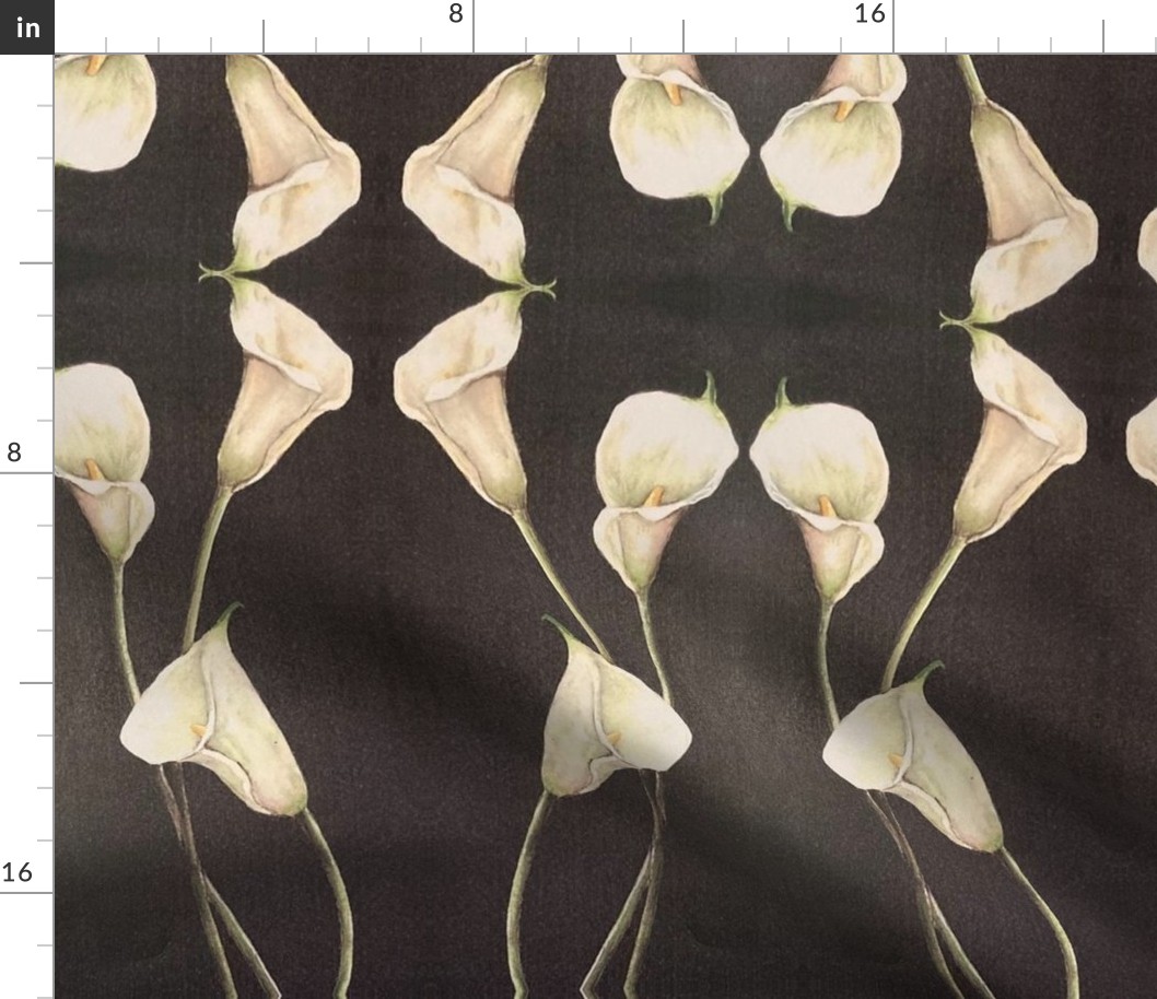 White Callas on Black 862E3C9B-2921-496E-845E-EB7E3FA01D04