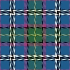 Minnesota Official State Tartan Plaid