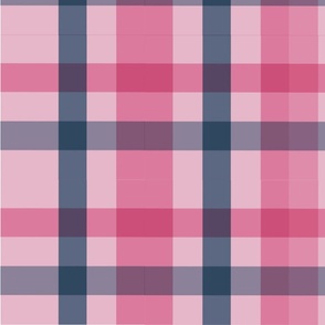 French Countryside Pink and blue plaid