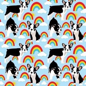 medium scale // Puppy Boston Terrier dog rainbows sunshine blue sky cloud