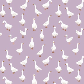Silly Gooses (small) -  Lilac